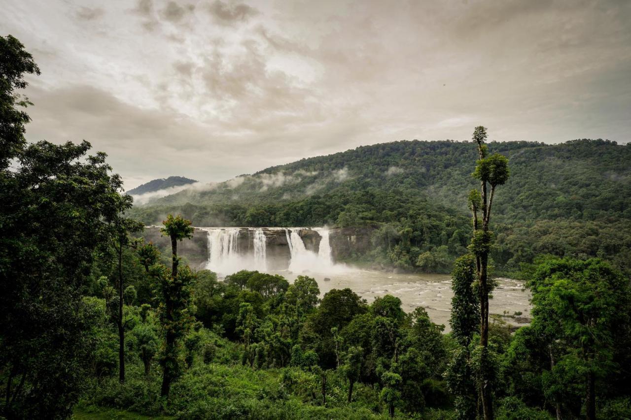 Bluemist Resorts Athirappilly エクステリア 写真